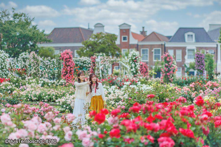 
                                                                        【限時九州5日】豪斯登堡繽紛花海│隔日再入園＋teamLab森林
                                                                        