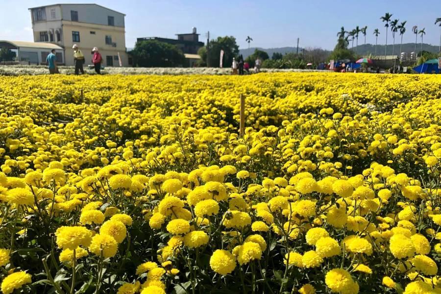 
                                                                                                        【迷你團】苗栗銅鑼茶廠、日月潭遊湖、奮起湖阿里山森情美食二日
                                                                                                        