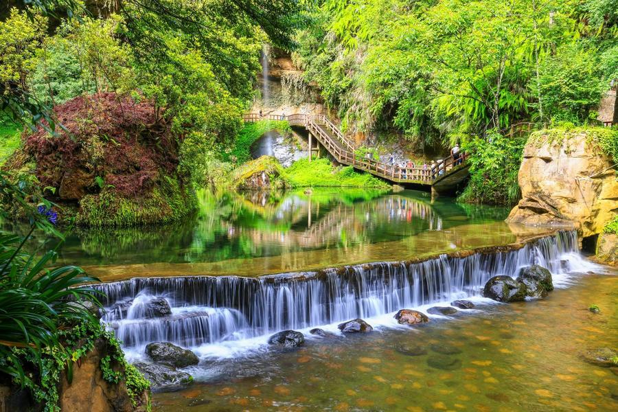 
                                                                                                        【五星饗宴】杉林溪四季花語綠海孟宗竹林、日式松林町米堤城堡高鐵輕旅二日
                                                                                                        