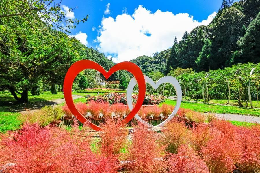 
                                                                                                        溪頭綠海孟宗竹林、夢幻杉林溪、車埕鹿港小鎮永樂酒店輕奢美食漫遊三日
                                                                                                        