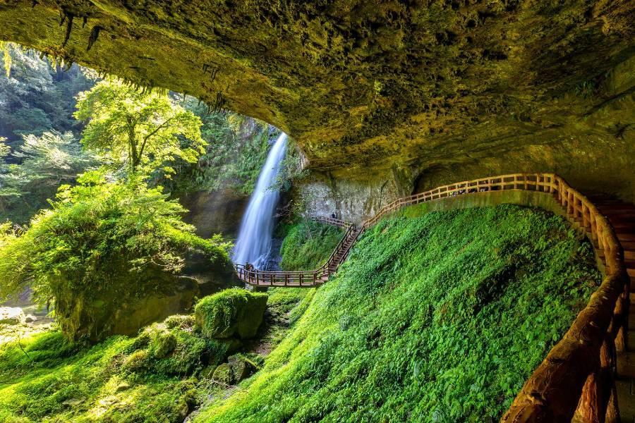 
                                                                                                        【森林饗宴】杉林溪四季花語、孟宗竹林、溪頭米堤童話城堡高鐵二日
                                                                                                        