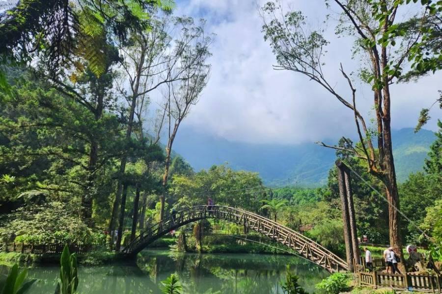 
                                                                                                        苗栗卓也藍染DIY、杉林溪賞花松瀧岩瀑布、溪頭米堤城堡三日
                                                                                                        