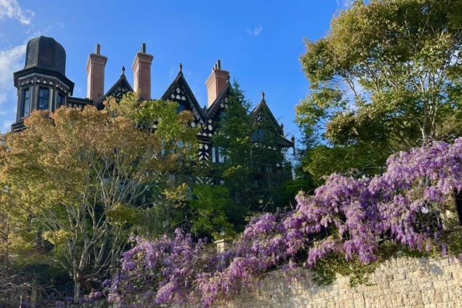 
                                                                                                        【花漾中橫】埔里巧克力工房、台一花卉清境農場、合歡山石門百岳景觀二日
                                                                                                        