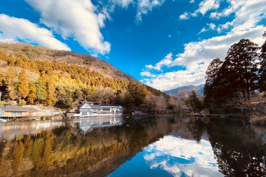 
                                                                                                        湯布院
                                                                                                        