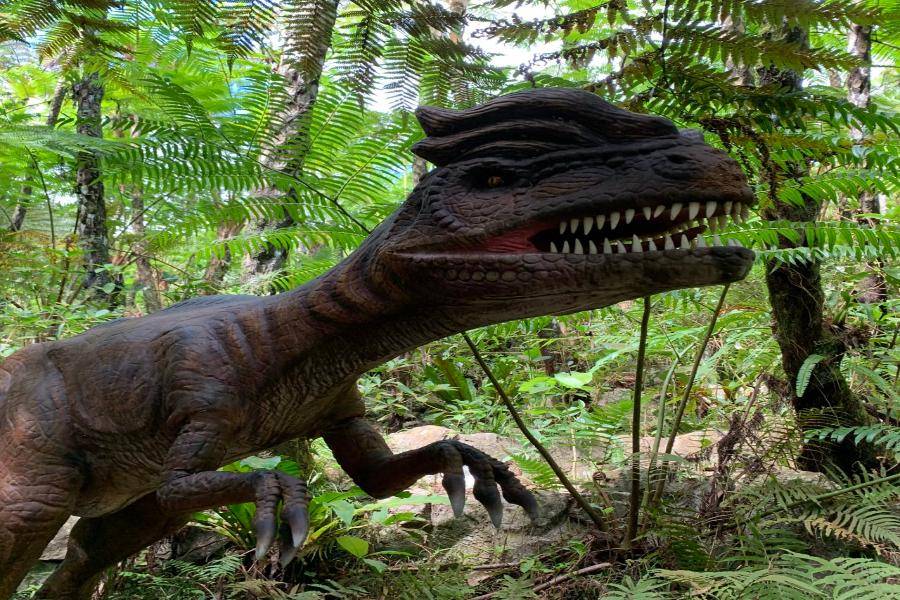 【冲绳花漾超值】古宇利塔,恐龙公园,永旺商城,水族馆4日