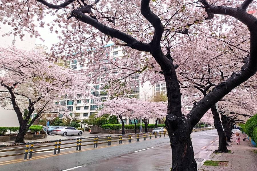 
                                                                                                                        【動感釜慶】極速 LUGE 滑車、藍絲帶韓屋午茶、天空膠囊列車美景4日
                                                                                                                        