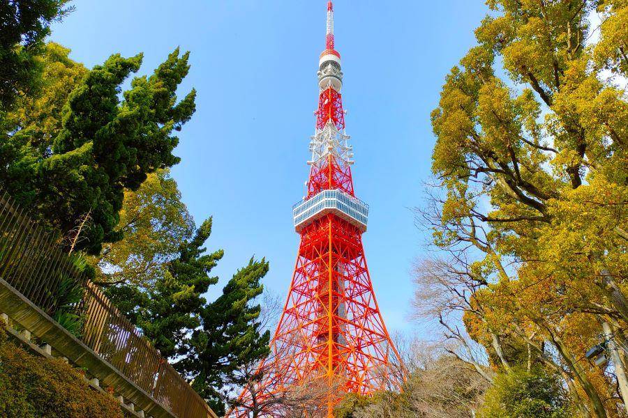 
                                                                        ⋆ ｡東京 機+酒｡ ⋆
                                                                        