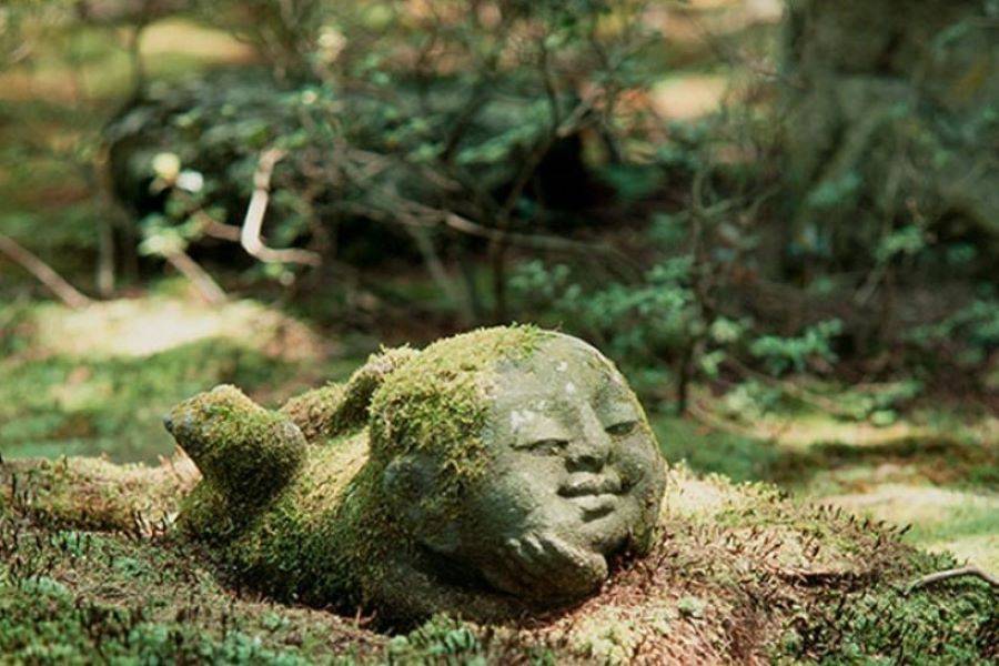 行程特色圖片