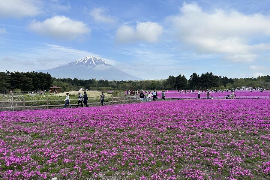 
                                                                        精選｜立山雪牆x芝櫻紫藤～輕井澤溫泉．上高地．合掌村．高山古街5日
                                                                        