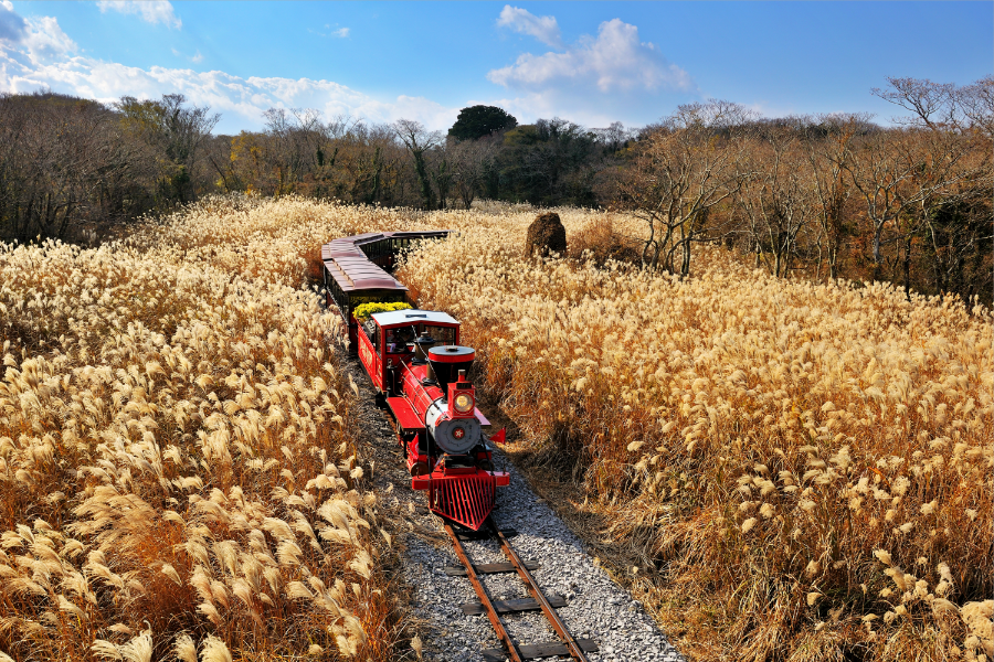 ECOLAND英式森林小火車主題樂園