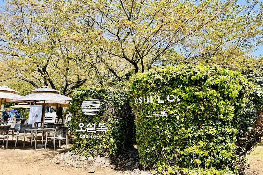 OSulloc雪綠茶博物館