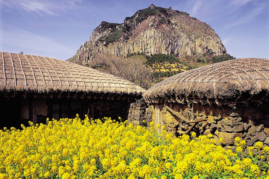 城邑民俗村