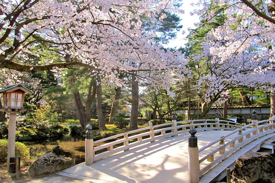 北陸花見滿喫 合掌村上高地 立山雪谷工藝5日 小松 國外團體旅遊 東南旅遊網