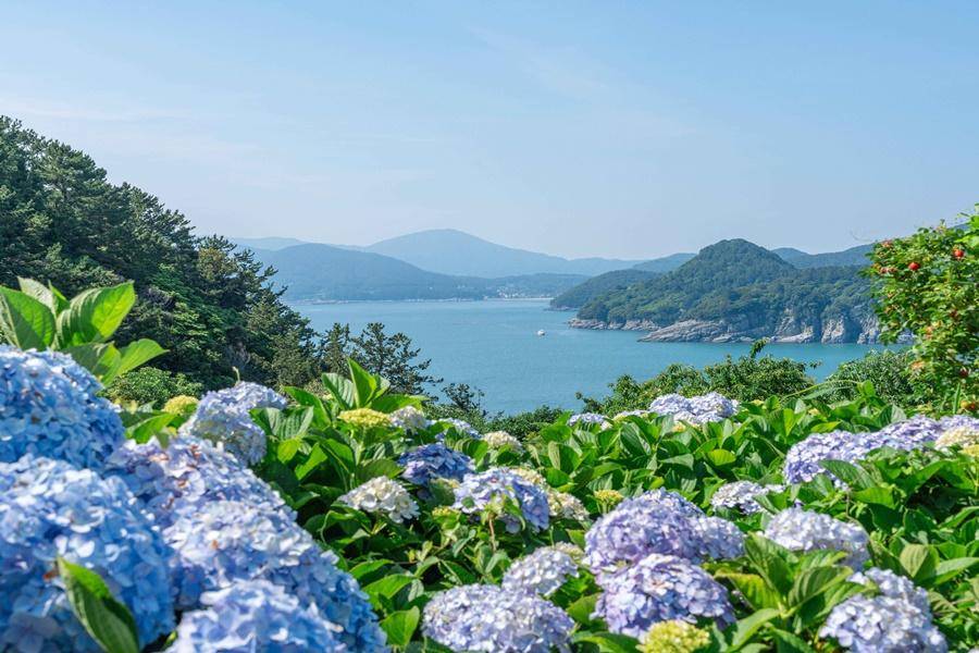 《身心療癒》自然療癒體驗~海上花園