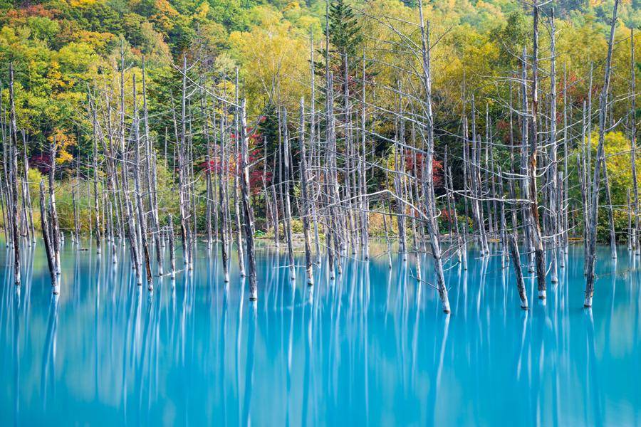 青池美景